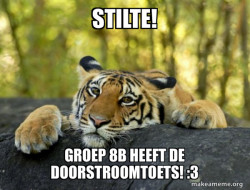 Confession Tiger