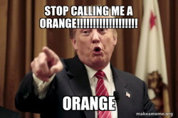 Donald Trump Says