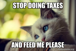 First World Cat Problems