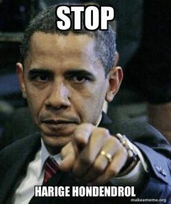 Angry Obama