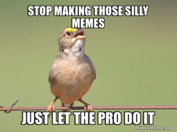 Common Opinion Sparrow