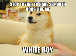 Doge
