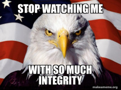 American Pride Eagle