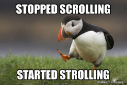 Unpopular Opinion Puffin