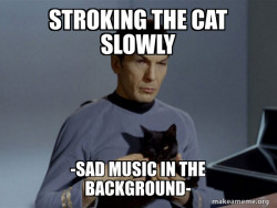 Spock and Cat Meme