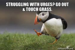 Unpopular Opinion Puffin