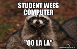 Evil Plotting Raccoon