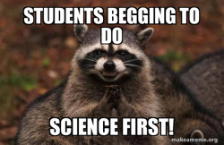 Evil Plotting Raccoon