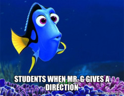 Dory from Nemo  (5 second memory)