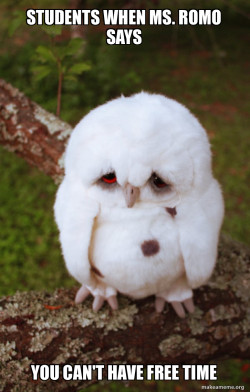 Sad Owl