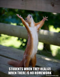 Happy Squirrel