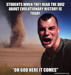 Tornado Guy