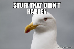 Stuff That Didn't Happen Seagull