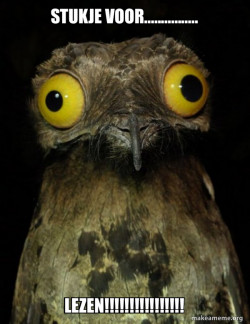 Weird Stuff I do Potoo