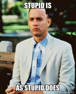 Forrest Gump stupid is as stupid does