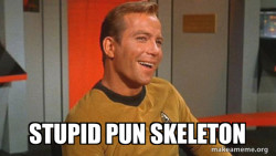 Ridiculously Photogenic Starship Captain