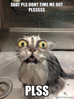 Cat bath