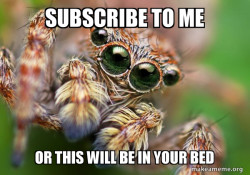 Hipster Spider