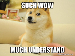 Doge