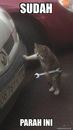 Mechanic Cat