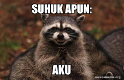 Evil Plotting Raccoon