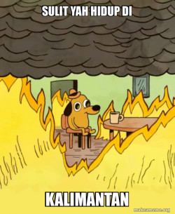 This Is Fine