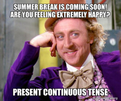 Willy Wonka Sarcasm Meme