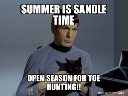 Spock and Cat Meme