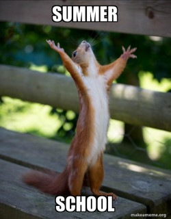 Happy Squirrel