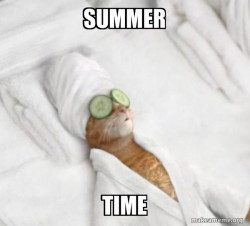 Pampered Cat Meme
