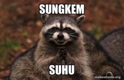 Evil Plotting Raccoon