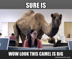 Hump Day Camel