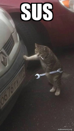 Mechanic Cat