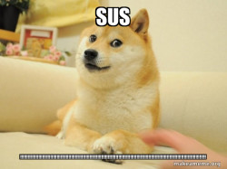 Doge