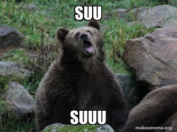 Sarcastic Bear