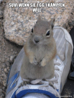 Standover Squirrel