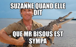 Steve irwin
