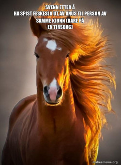 Ridiculously photogenic horse