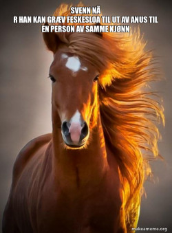Ridiculously photogenic horse