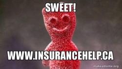 insurance Help 17