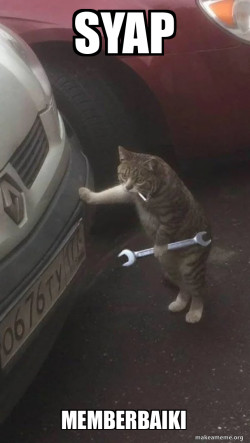 Mechanic Cat