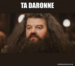 Hagrid - I should not have said that