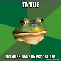Foul Bachelor Frog