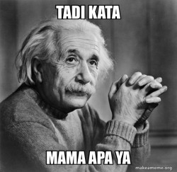 Serious Albert Einstein