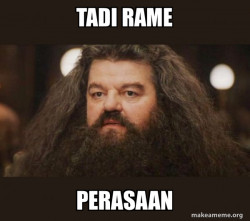 Hagrid - I should not have said that