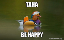 Fashionable Advice Mallard