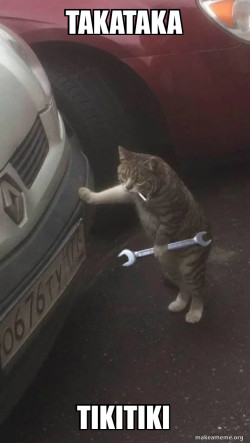 Mechanic Cat