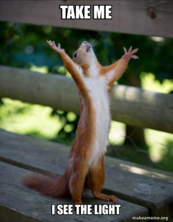 Happy Squirrel