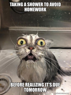Cat bath