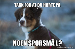 Unsure Dog